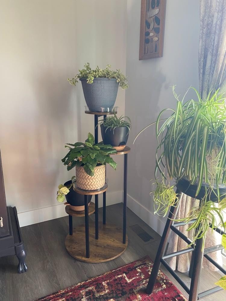 Botanica Полица photo review