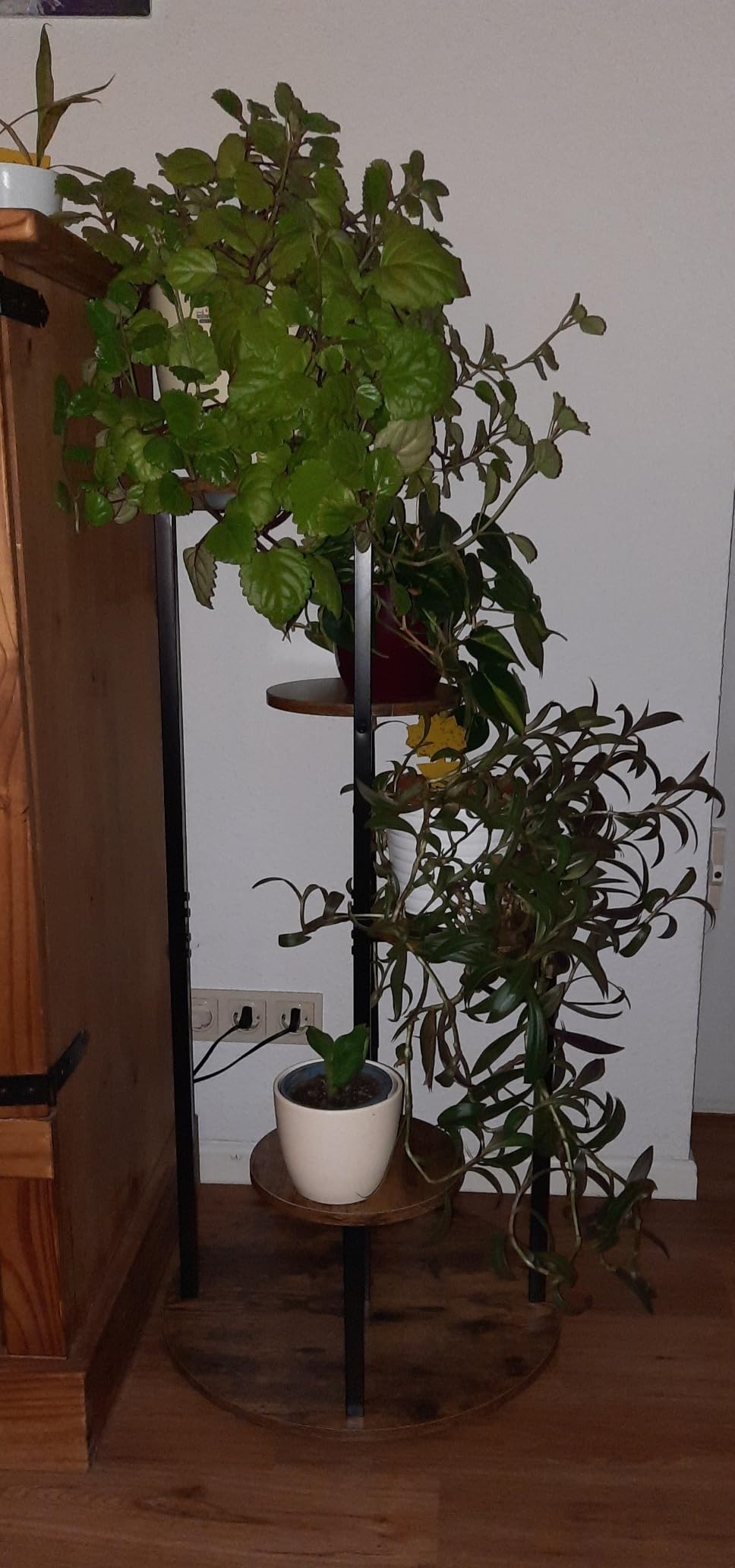 Botanica Полица photo review