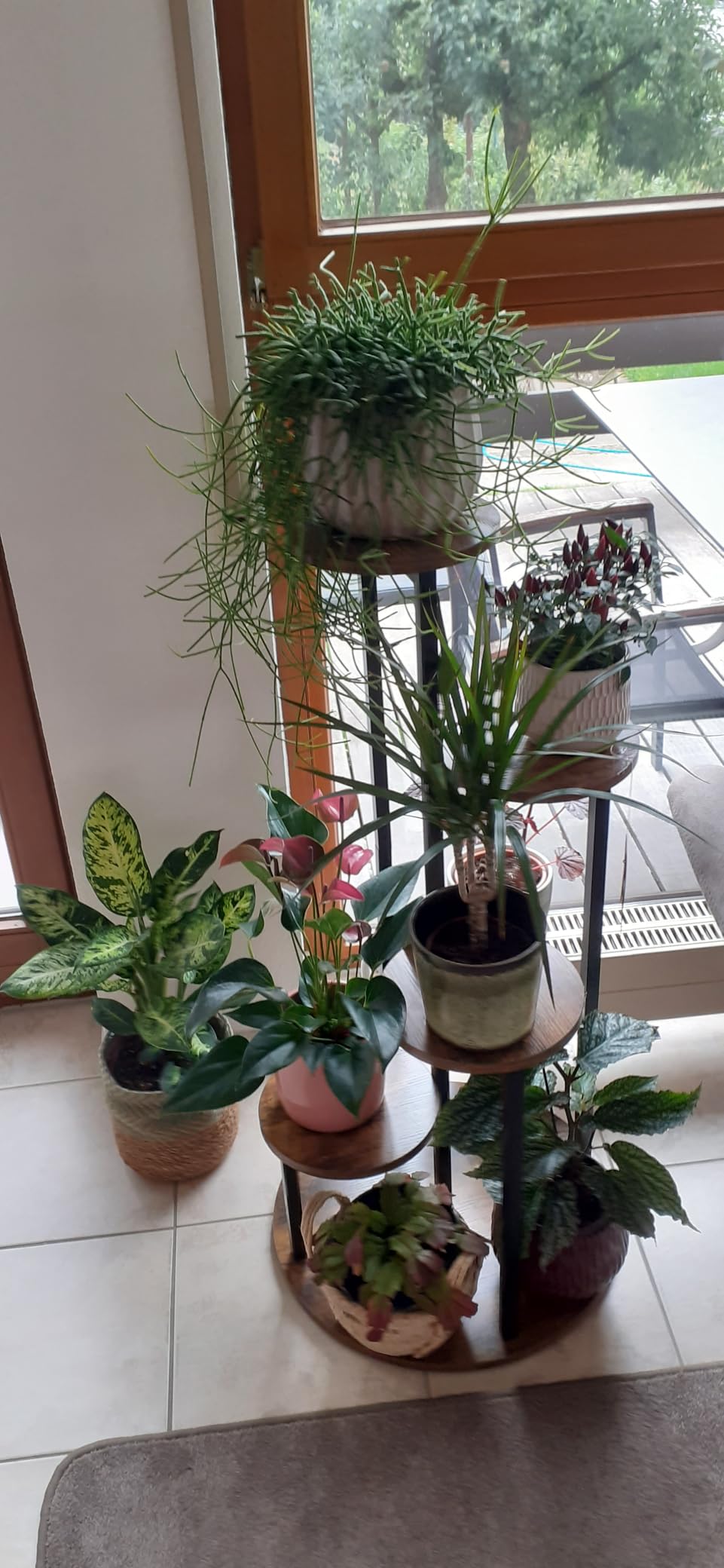 Botanica Полица photo review