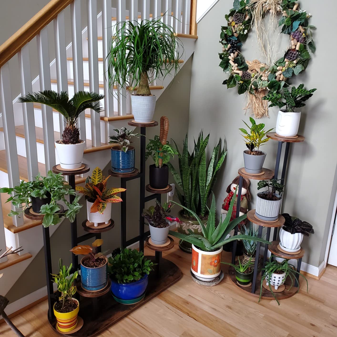 Botanica Полица photo review