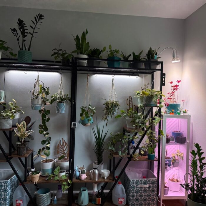 NatureLux Полица photo review