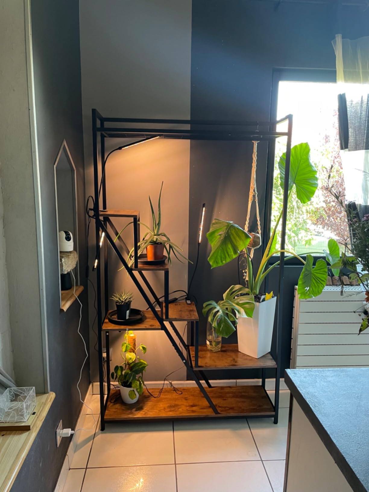 NatureLux Полица photo review