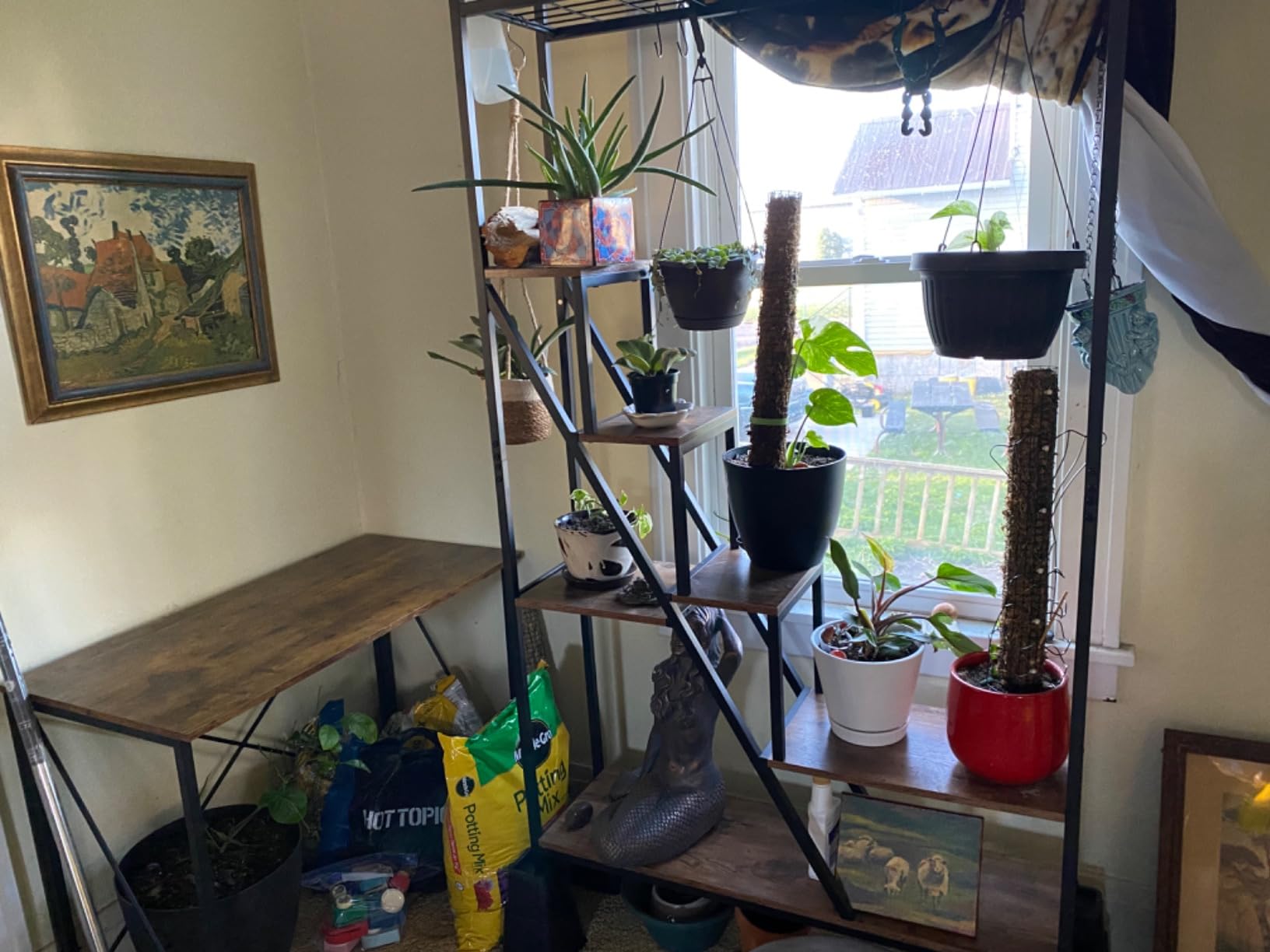 NatureLux Полица photo review