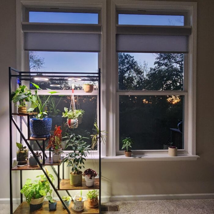 NatureLux Полица photo review