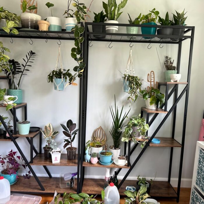 NatureLux Полица photo review