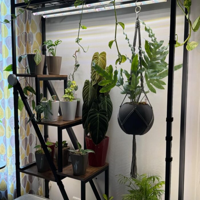 NatureLux Полица photo review