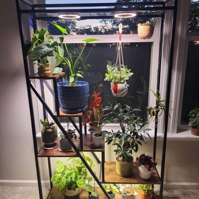 NatureLux Полица photo review