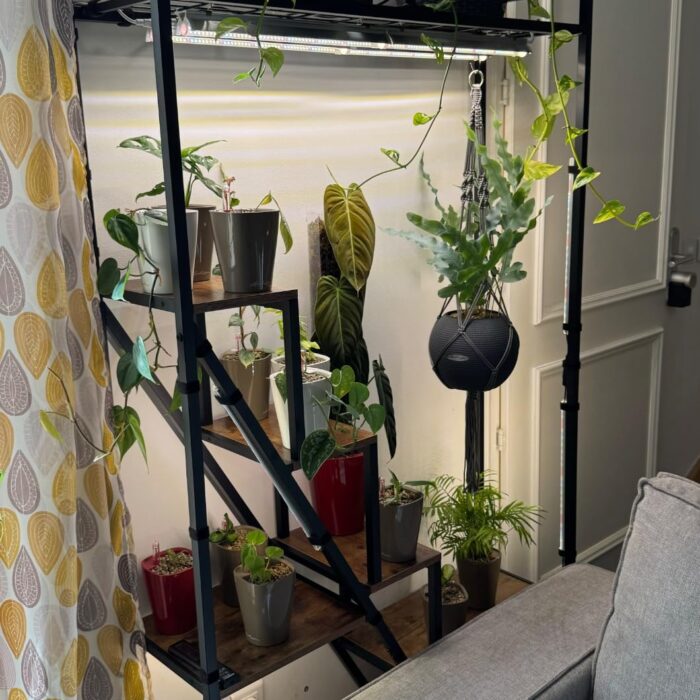 NatureLux Полица photo review