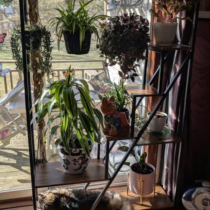 NatureLux Полица photo review